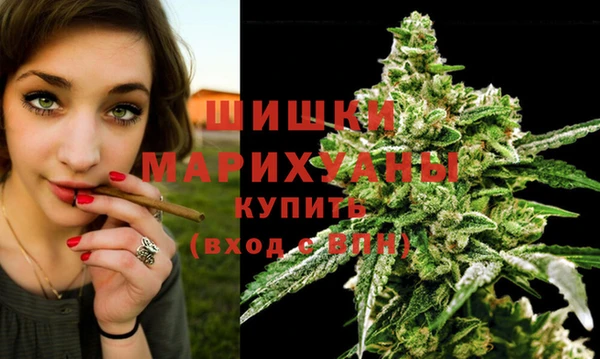 spice Абаза