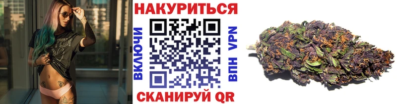 Бошки Шишки планчик Мостовской